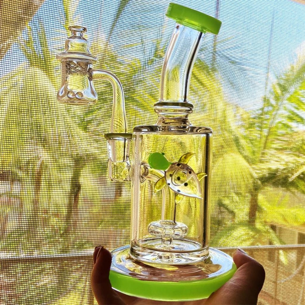 Slime Sea Turtle Bong | HoldMyBlunt.com