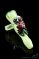 Empire Glassworks  Fred the Frog  Chillum
